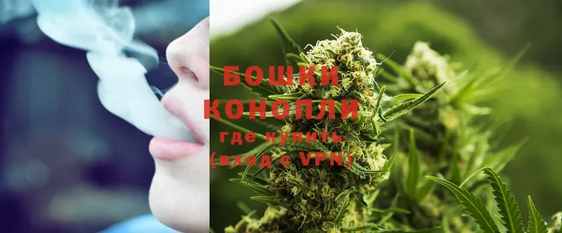 купить  цена  Кирсанов  Каннабис THC 21% 